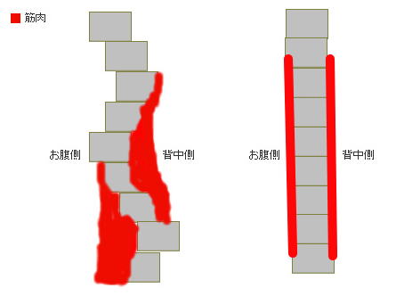 姿勢トレーニング